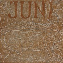 Wv 112 "Vignette Juni"