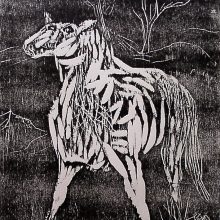 Wv 170 "Coloso"